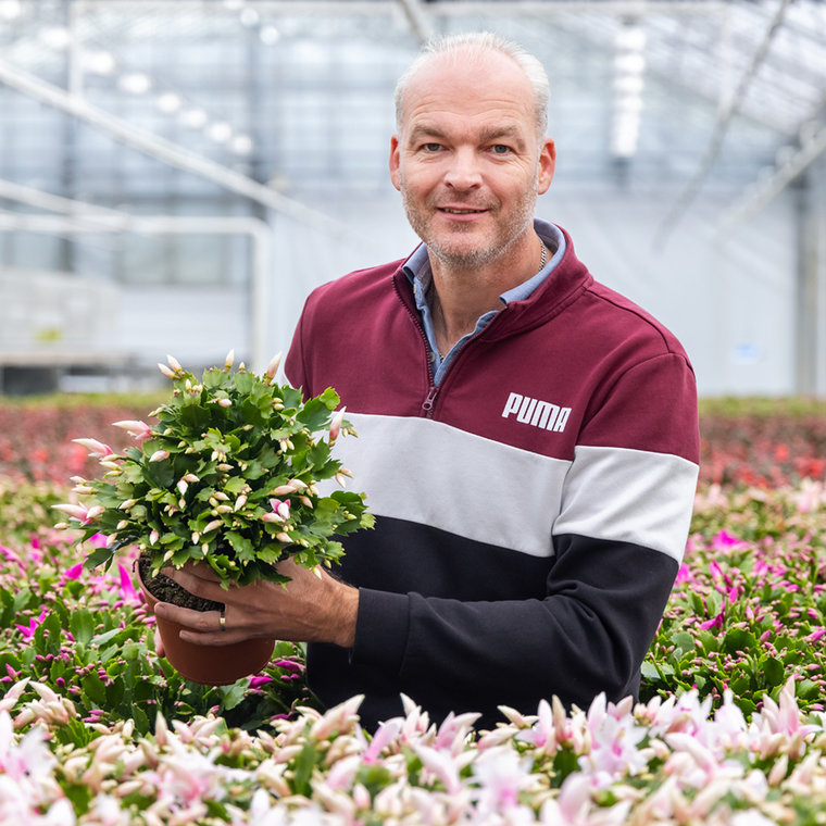 J de Vries potplantencultures bv